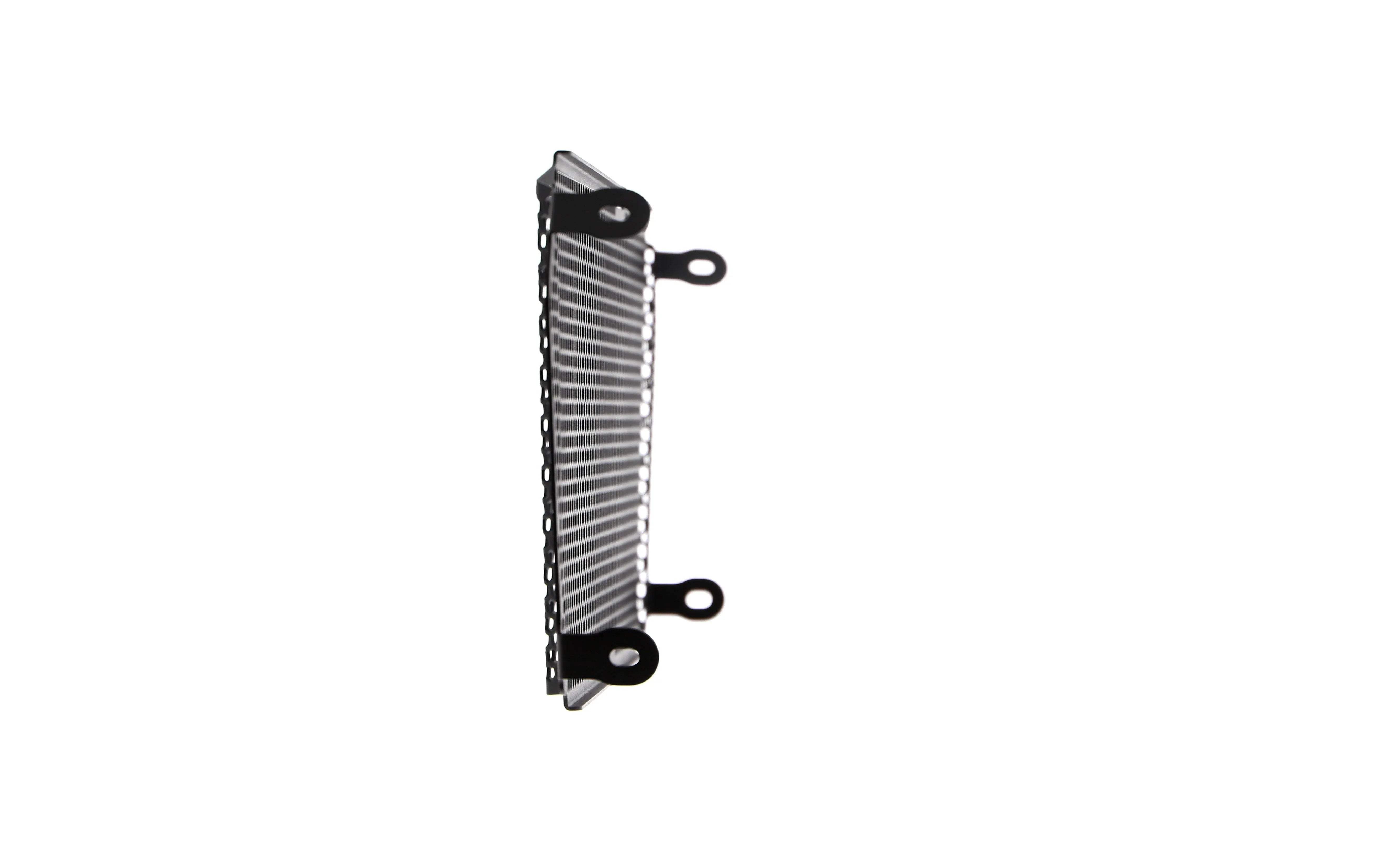 Evotech Radiator Guard - Aprilia Shiver 900 (2018 - 2021) - Kühlerschutzgitter | Evotech Performance
