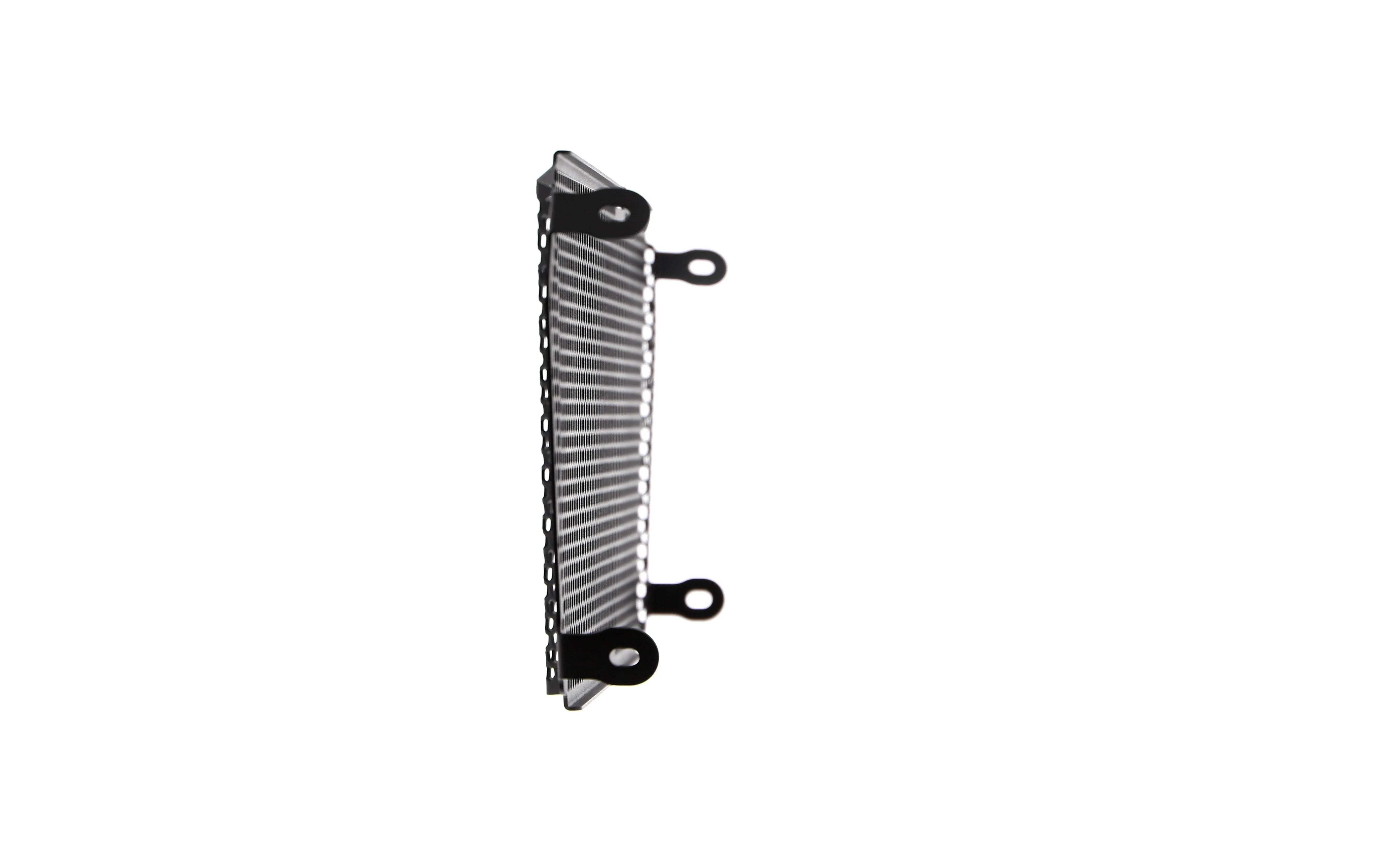 Evotech Aprilia Shiver SL 750 Radiator Guard (2007 - 2016) - Kühlerschutzgitter | Evotech Performance