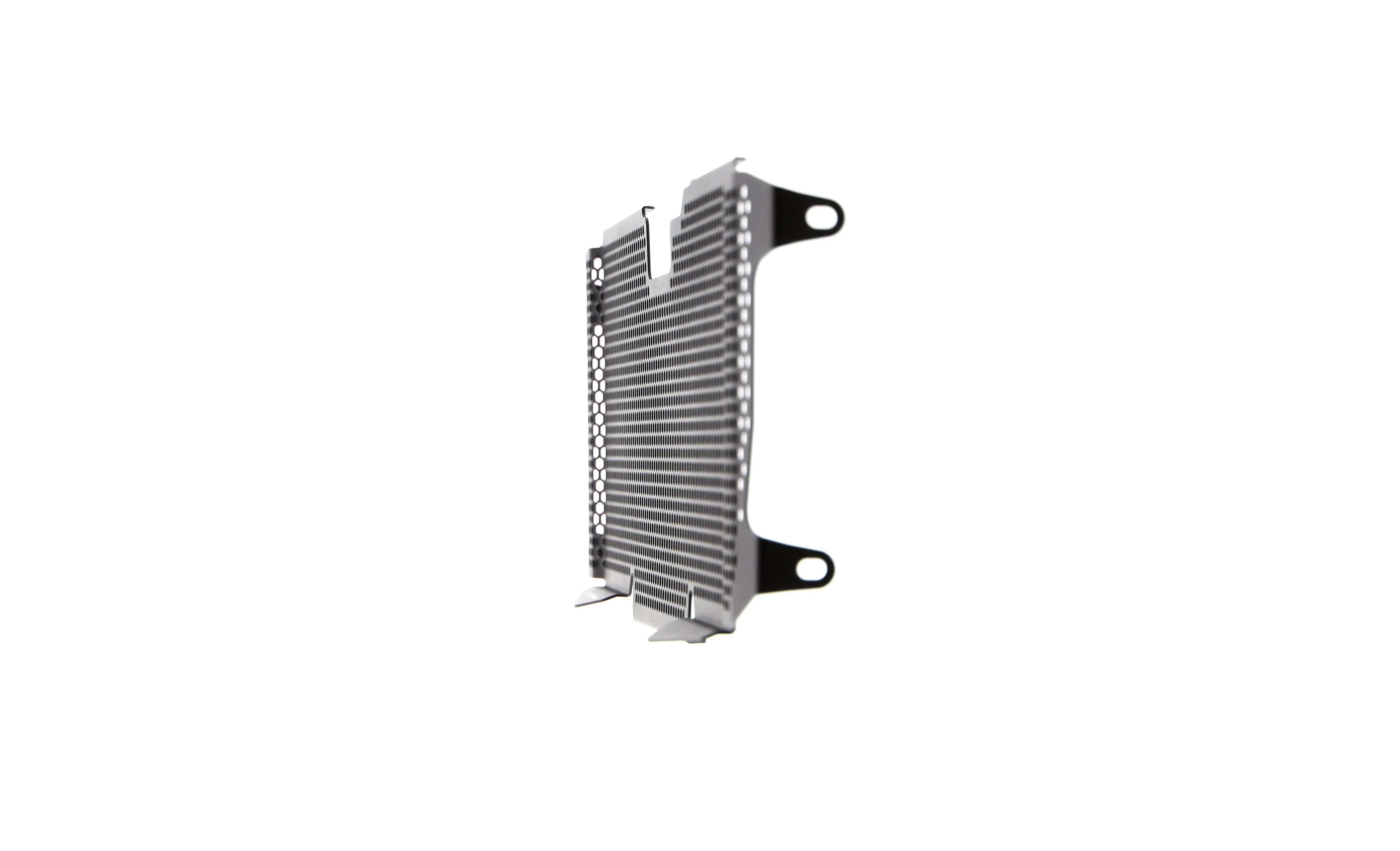 Evotech BMW R 1250 R Sport Radiator Guard (2019+) - Kühlerschutzgitter | Evotech Performance