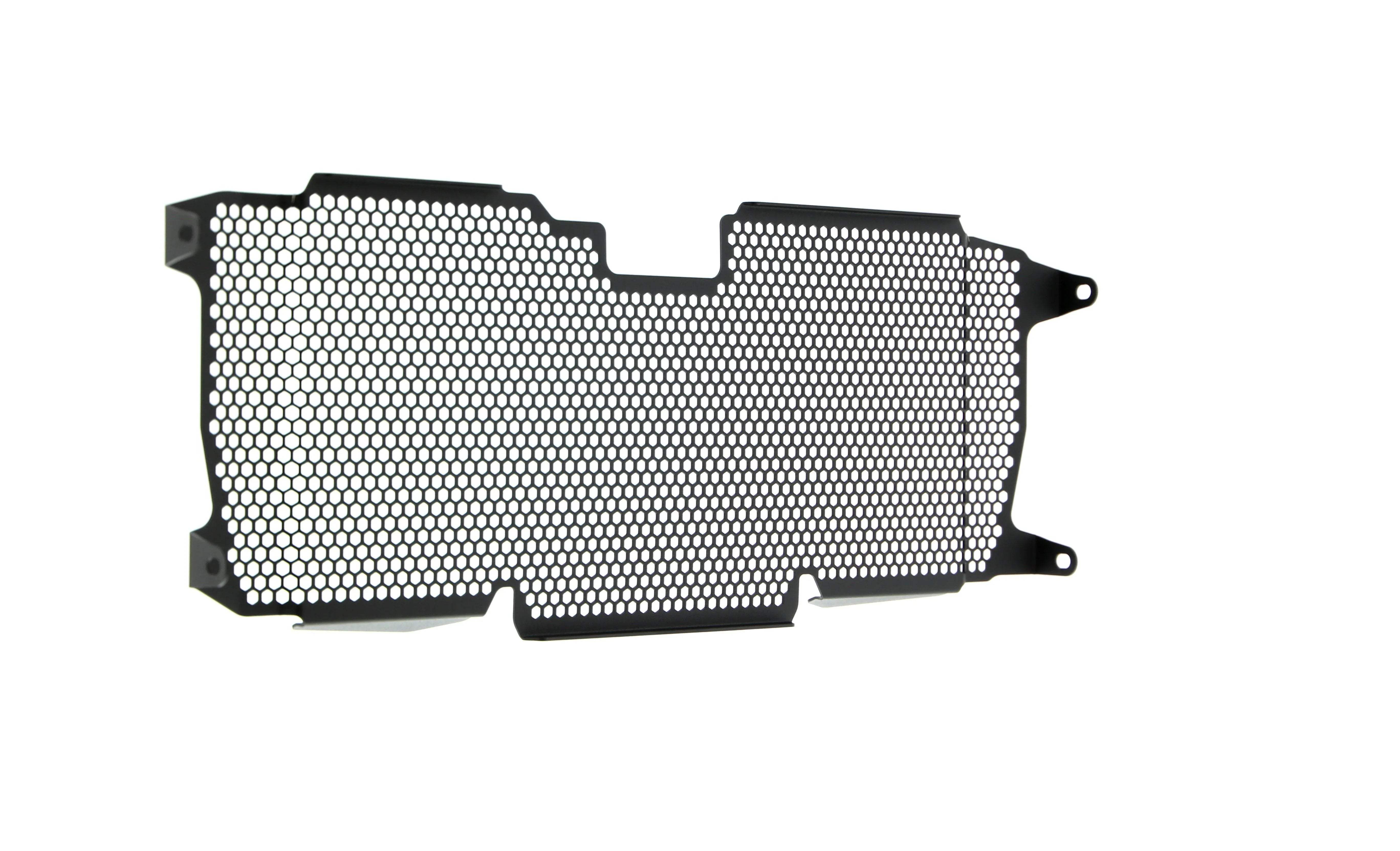 Evotech BMW R 1250 R Sport Radiator Guard (2019+) - Kühlerschutzgitter | Evotech Performance