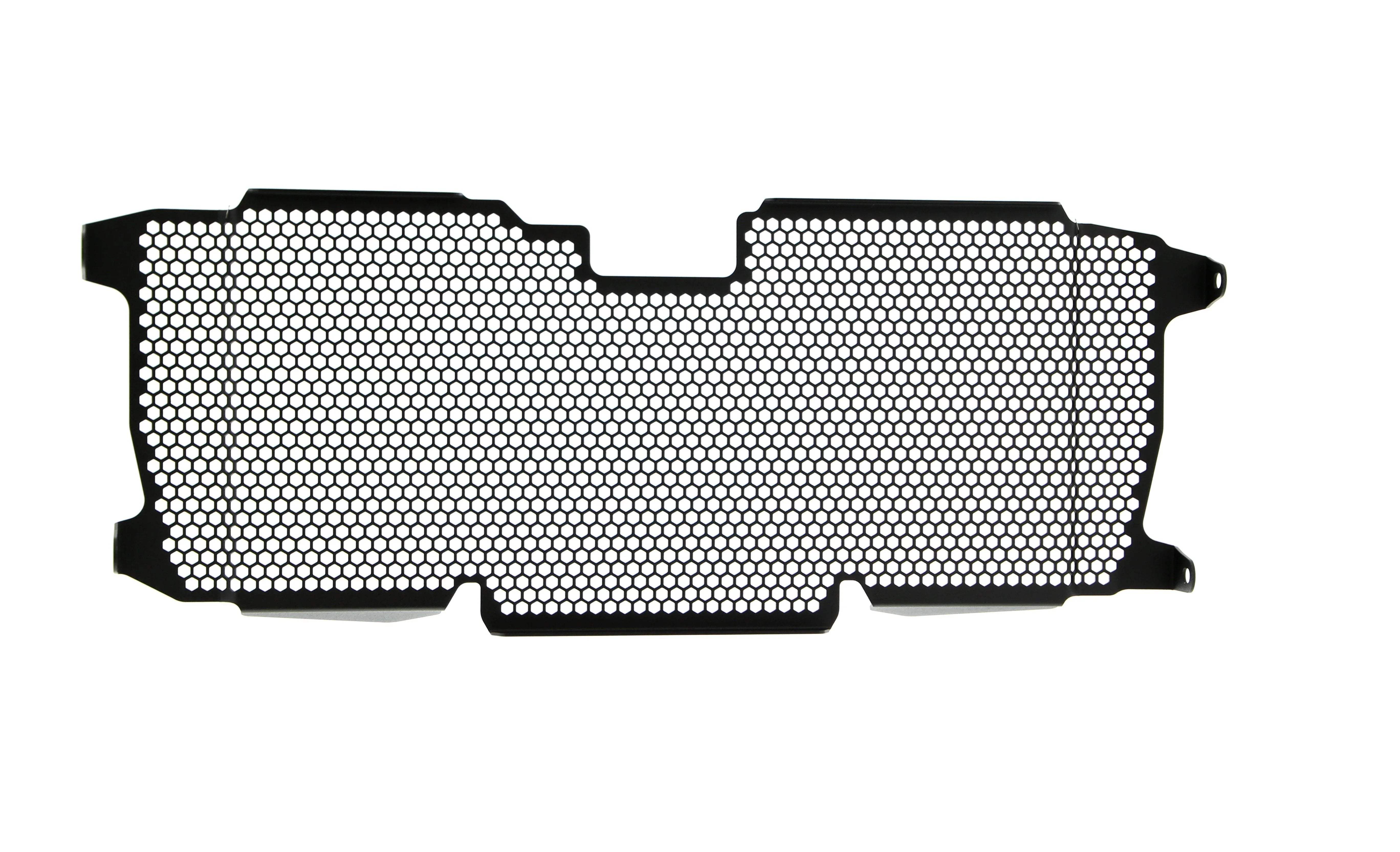 Evotech BMW R 1250 R Exclusive Radiator Guard 2019+ - Kühlerschutzgitter | Evotech Performance