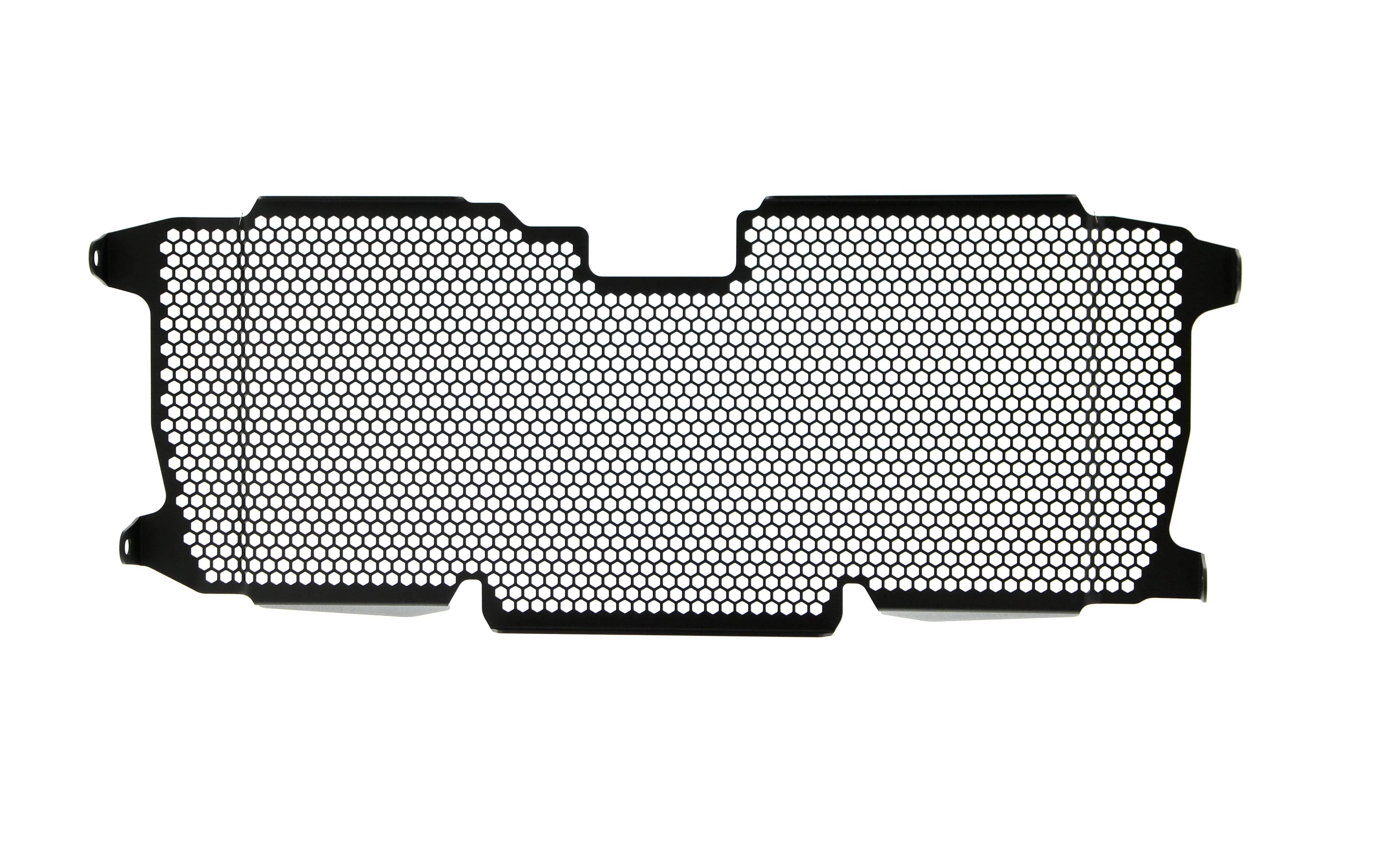 Evotech BMW R 1250 R Exclusive Radiator Guard 2019+ - Kühlerschutzgitter | Evotech Performance