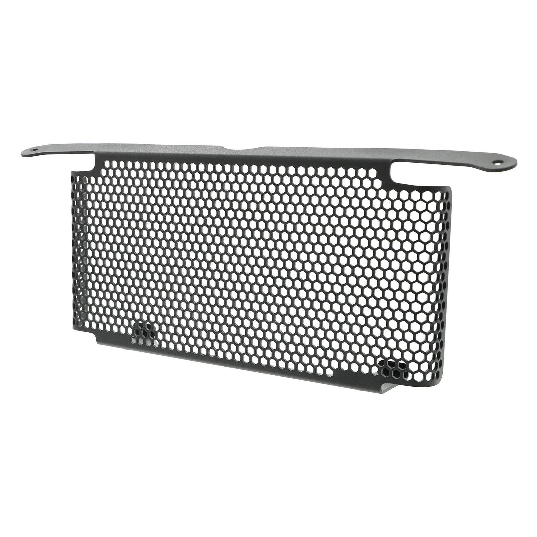 Evotech BMW S 1000 R Oil Cooler Guard (2017-2020) - Kühlerschutzgitter | Evotech Performance