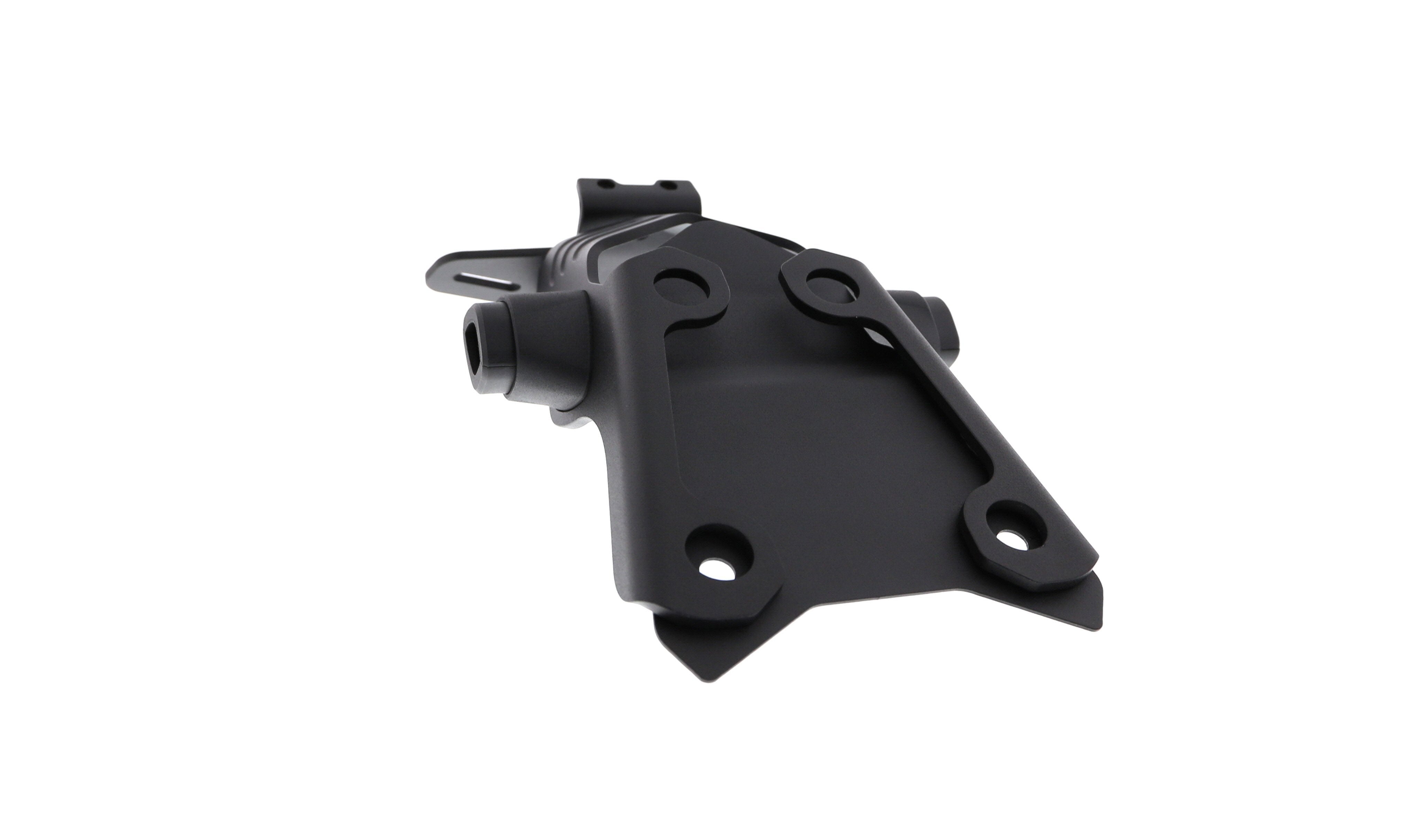 Evotech Ducati Monster 1200 25 Anniversario Tail Tidy 2020