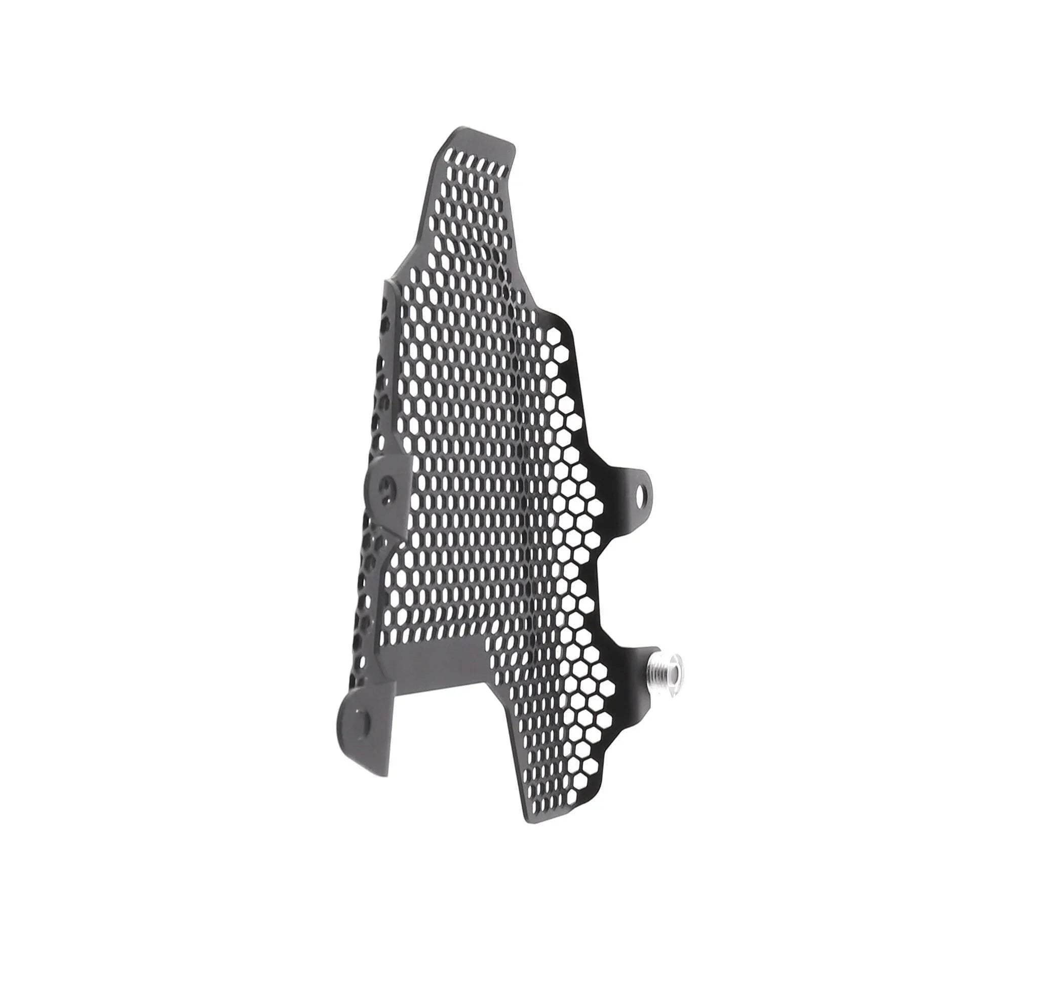 Evotech Ducati Panigale V4 R Fuel Tank Cover Guard (2019 - 2020) - Soziusfußrastenabdeckung | Evotech Performance