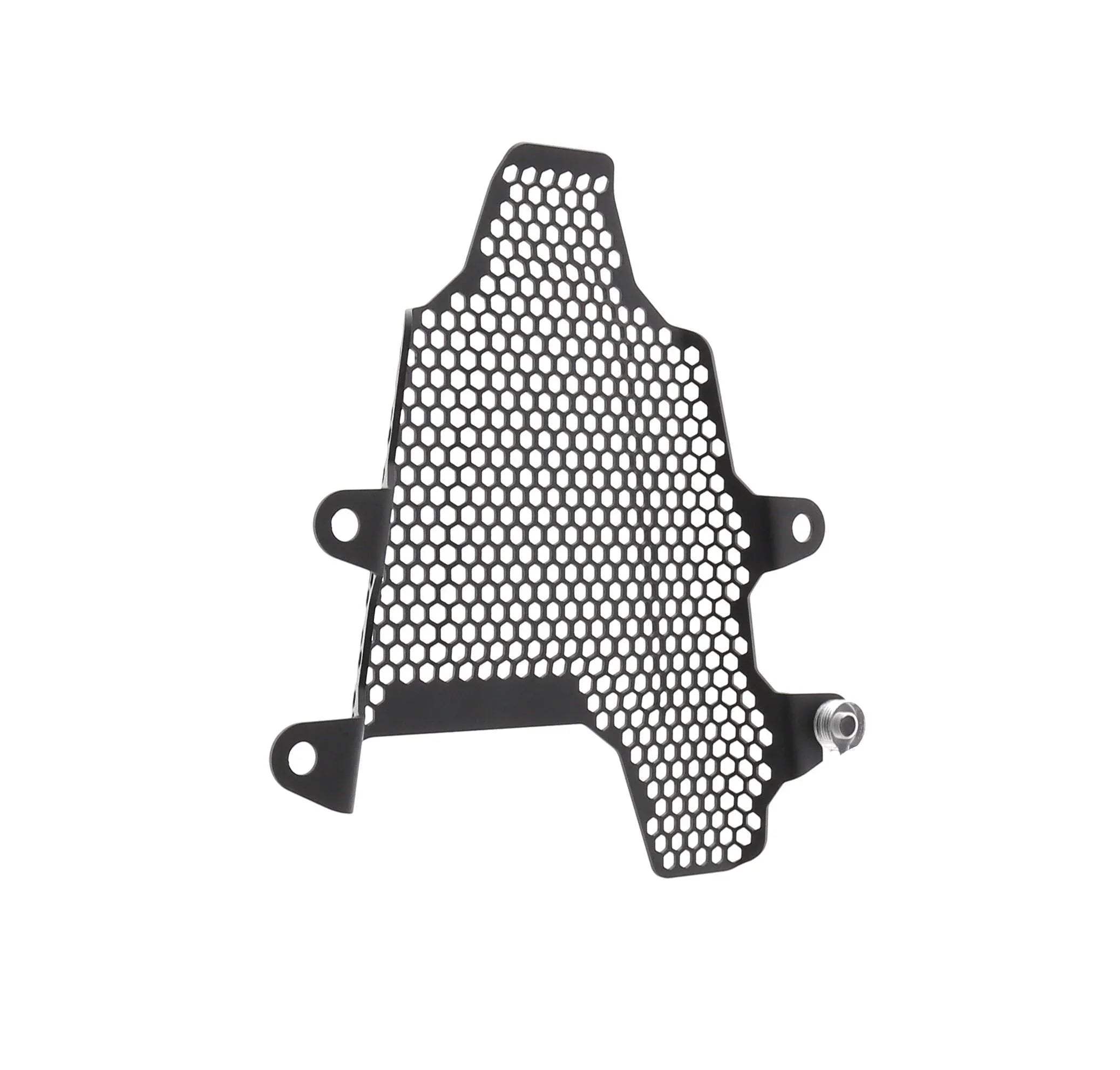 Evotech Ducati Panigale V4 R Fuel Tank Cover Guard (2019 - 2020) - Soziusfußrastenabdeckung | Evotech Performance