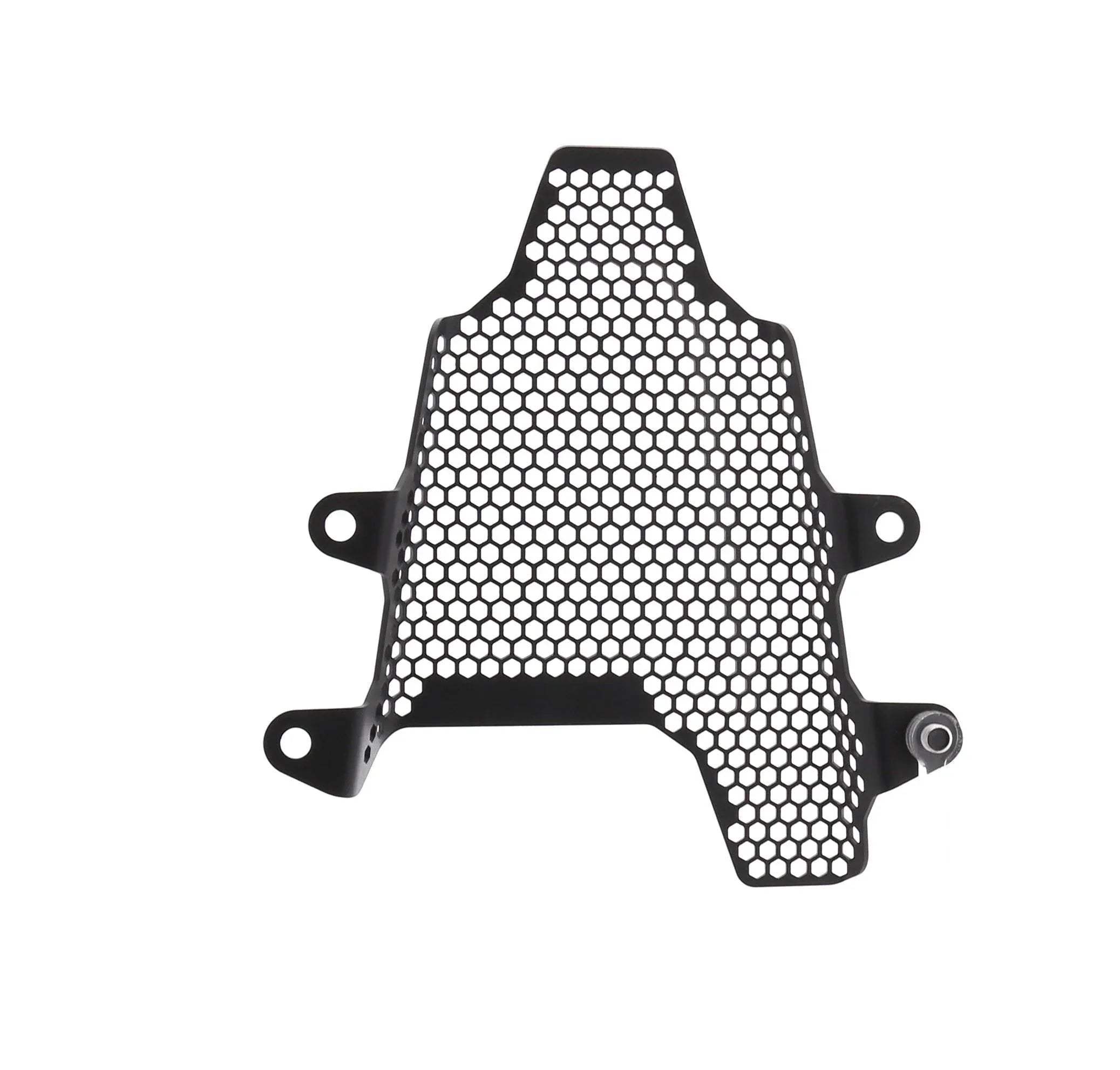 Evotech Ducati Panigale V4 R Fuel Tank Cover Guard (2019 - 2020) - Soziusfußrastenabdeckung | Evotech Performance