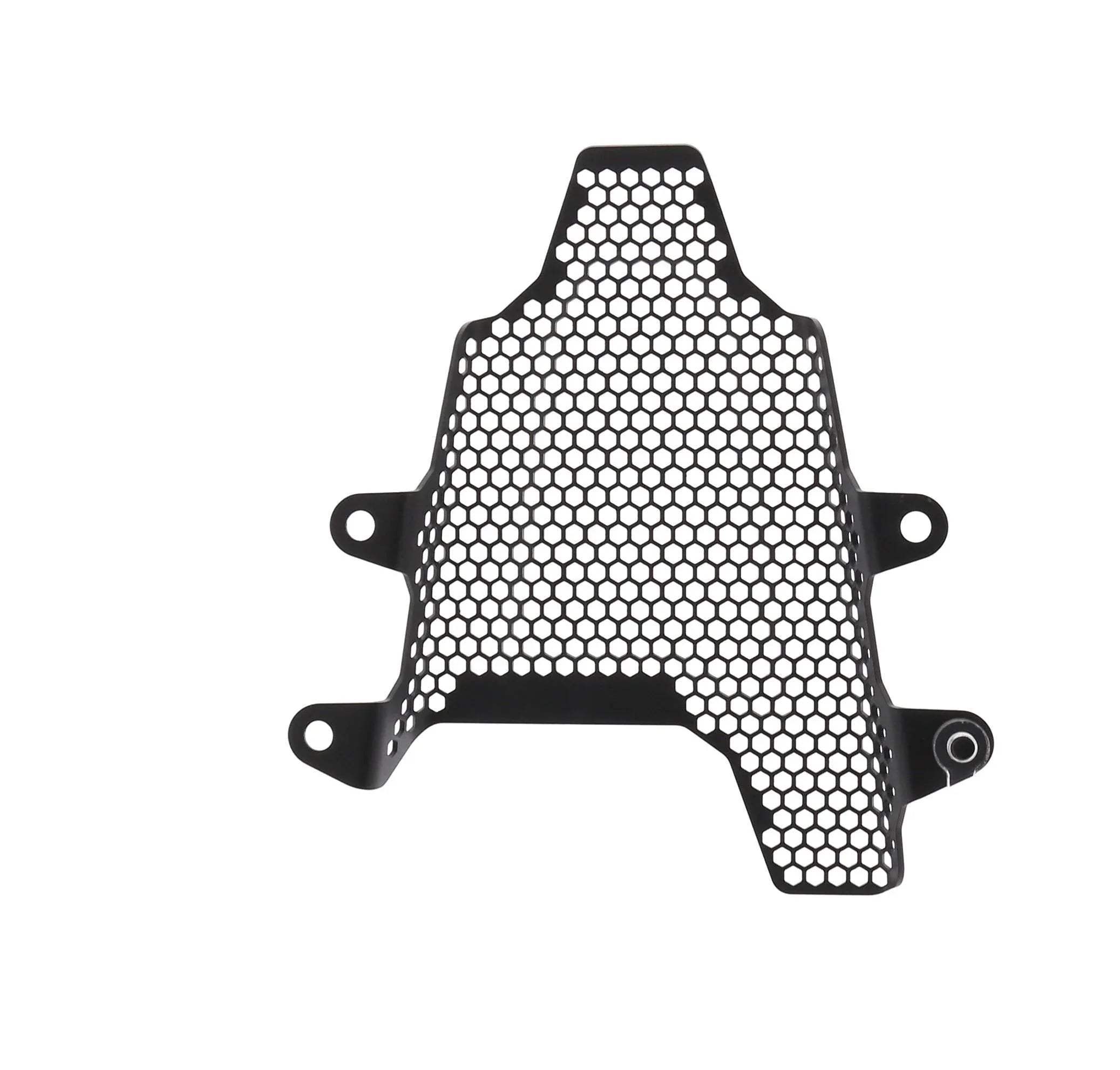 Evotech Ducati Panigale V4 R Fuel Tank Cover Guard (2019 - 2020) - Soziusfußrastenabdeckung | Evotech Performance