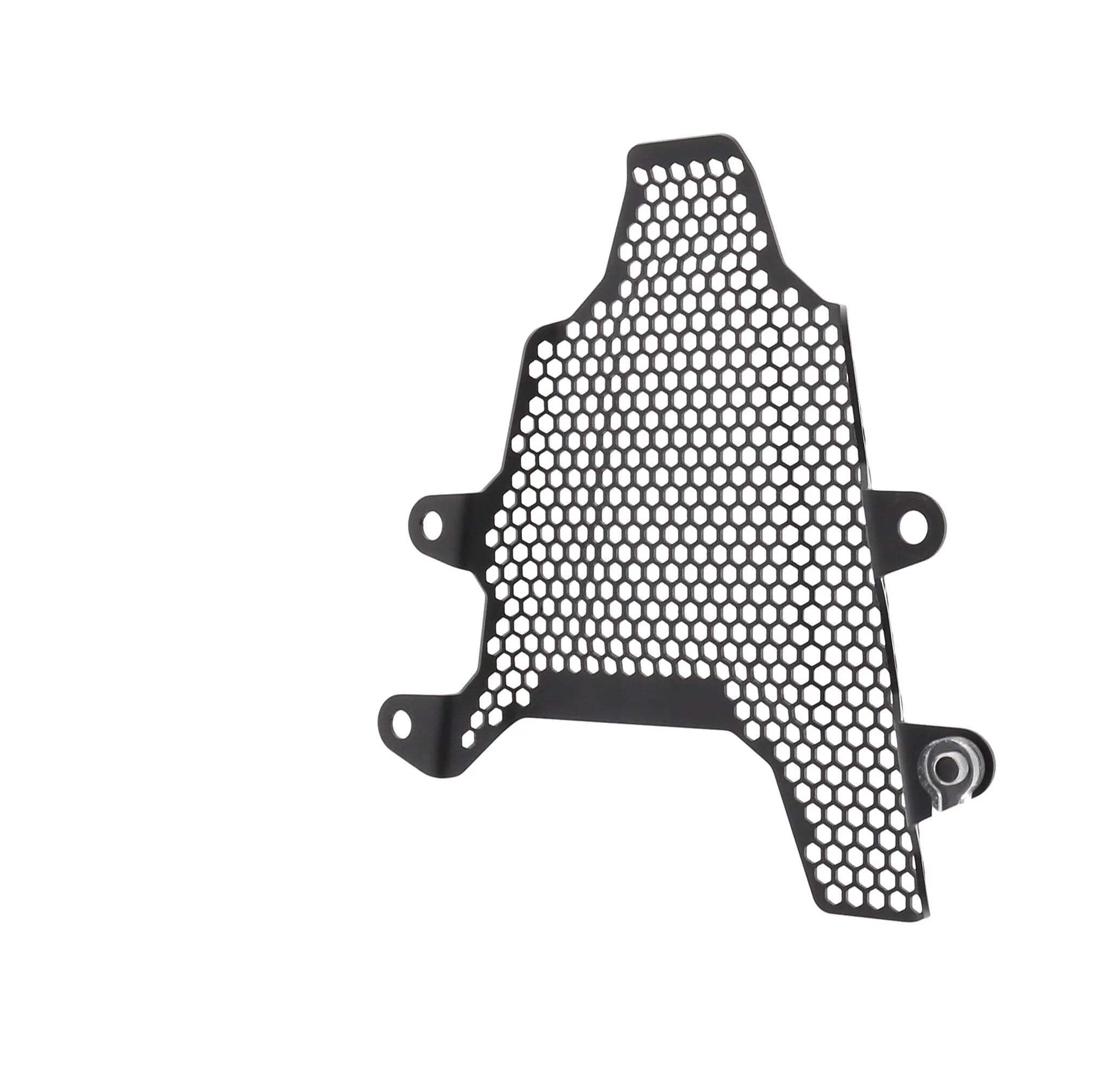 Evotech Ducati Panigale V4 R Fuel Tank Cover Guard (2019 - 2020) - Soziusfußrastenabdeckung | Evotech Performance