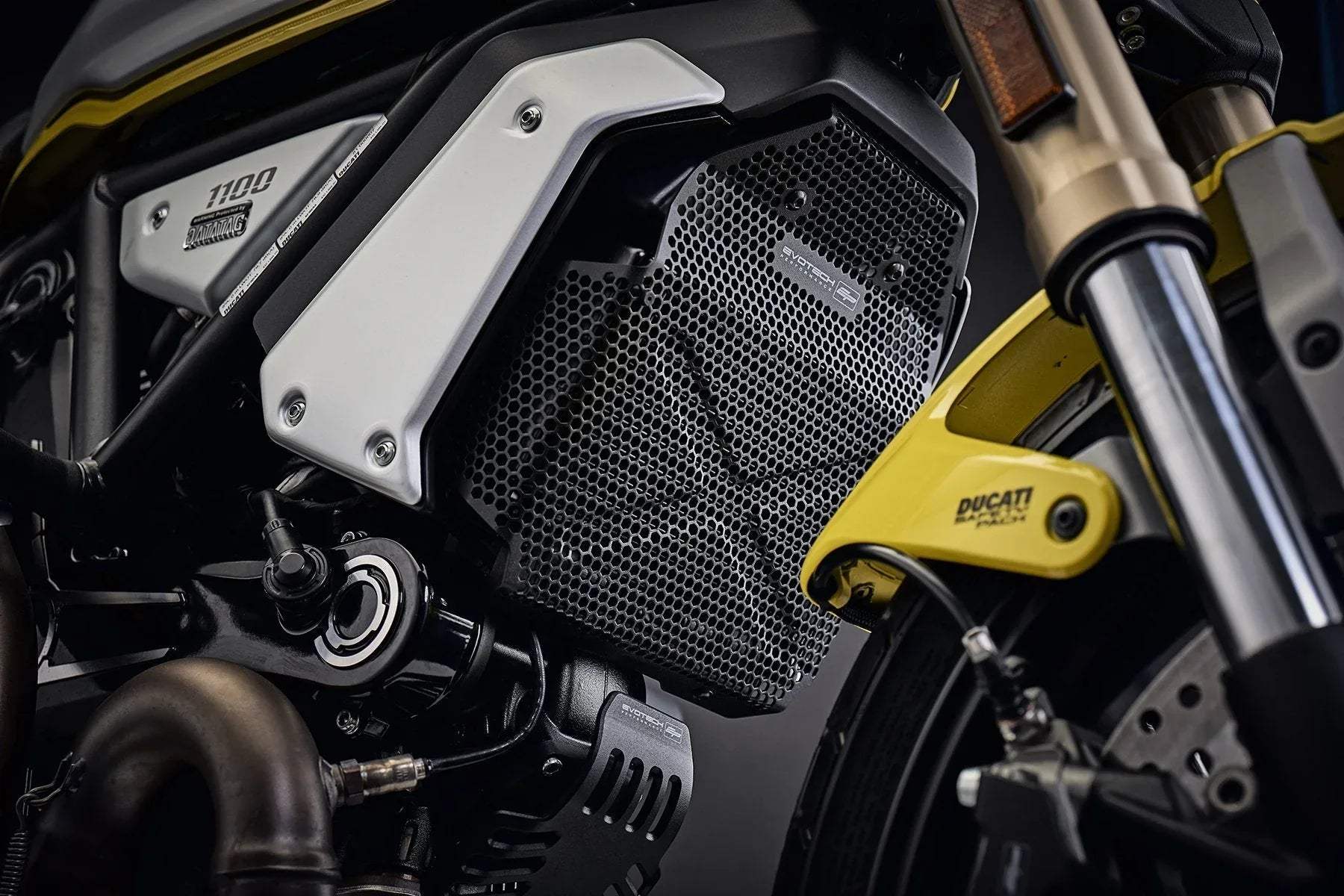 Evotech Ducati Scrambler 1100 Dark Pro Oil Cooler Guard (2021+) - Kühlerschutzgitter | Evotech Performance