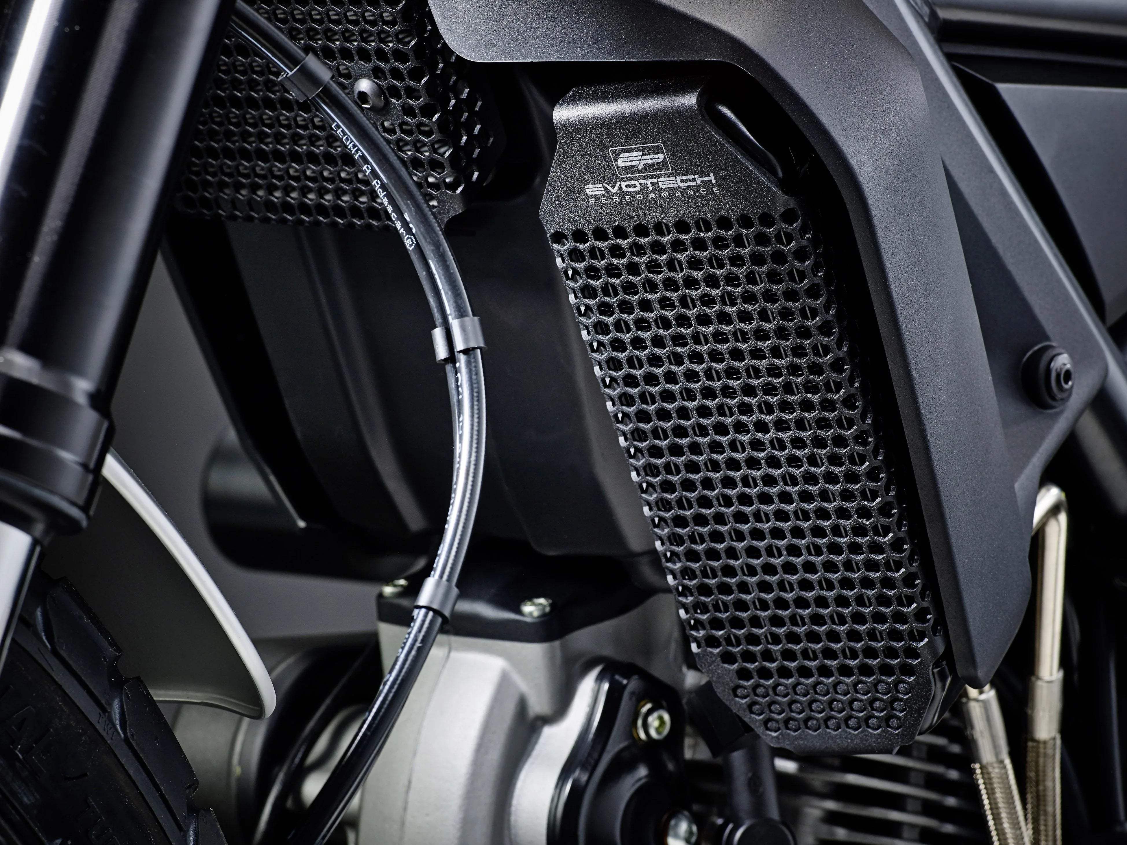 Evotech Ducati Scrambler Icon Oil Cooler Guard (2019 - 2022) - Kühlerschutzgitter | Evotech Performance
