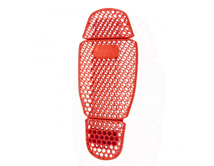 SHIMA Rückenprotektor BACK PROTECTOR - Protektoren | SHIMA
